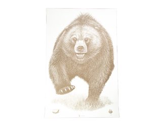 Action Target Alaska State Parks Bear Target