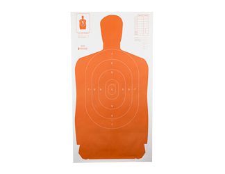 Action Target Standard