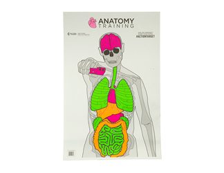 Action Target Anatomy Training Target