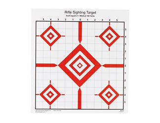 Action Target Rifle Sighting