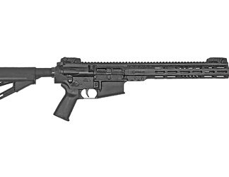 Armalite AR10