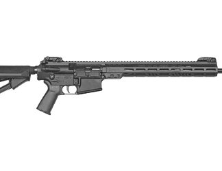 Armalite AR10