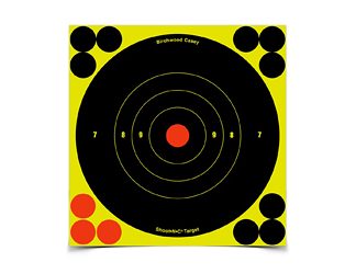 Birchwood Casey BI6-60