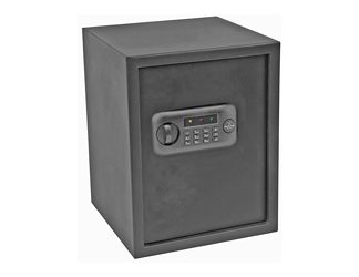 Bulldog Cases Pistol Vault