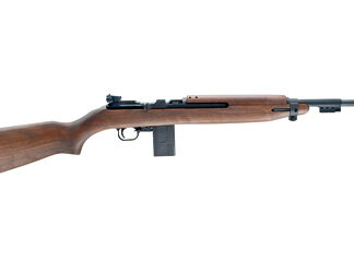 Chiappa Firearms M1-22