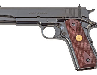 Colt's Manufacturing Government