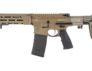 Daniel Defense DDM4