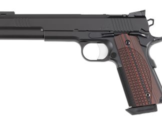 Dan Wesson Bruin
