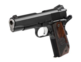 Dan Wesson Guardian