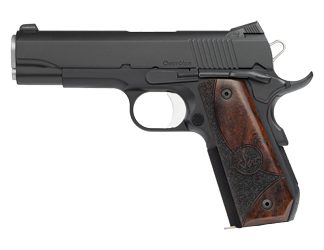 Dan Wesson Guardian