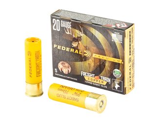 Federal Freight Train
