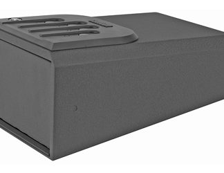 GunVault Mini Vault