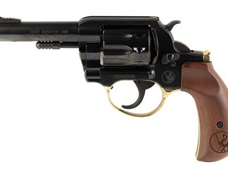 Henry Repeating Arms Golden Boy