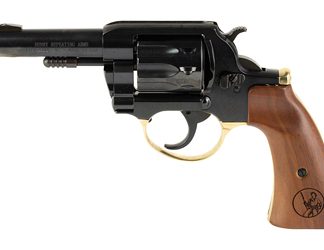 Henry Repeating Arms Golden Boy