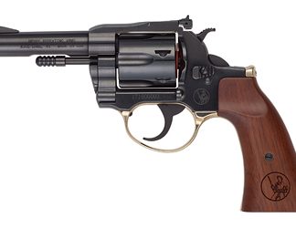 Henry Repeating Arms H17