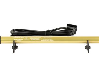 Lockdown Golden Rod