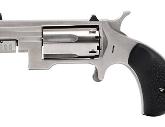 North American Arms Sentinel