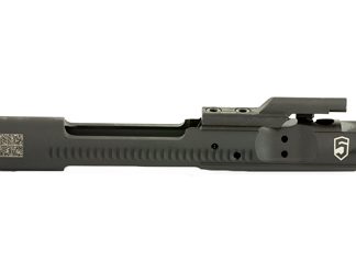Phase 5 Weapon Systems M16