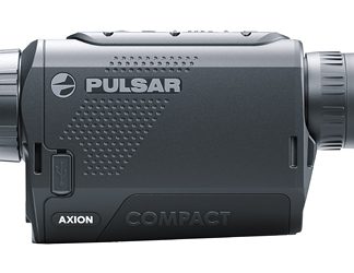 Pulsar Axion