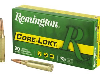 Remington Core Lokt