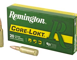 Remington Core Lokt