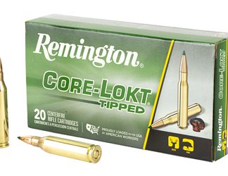 Remington Core Lokt