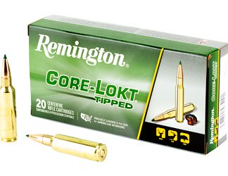 Remington Core Lokt