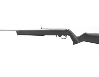 Ruger 10/22