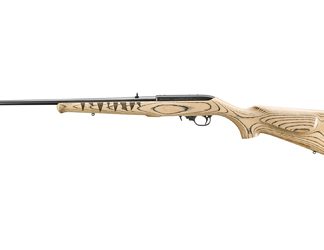Ruger 10/22