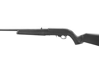 Ruger 10/22
