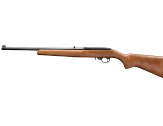 Ruger 10/22