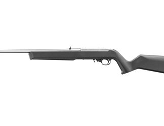 Ruger 10/22