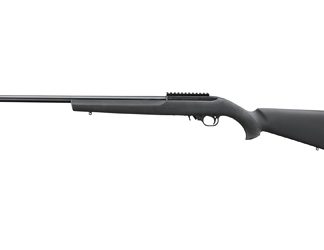 Ruger 10/22