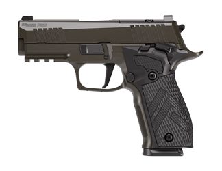 Sig Sauer P226