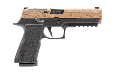 Sig Sauer P320 - Image 2