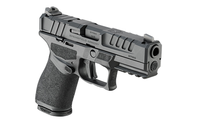 Springfield Echelon - Image 3