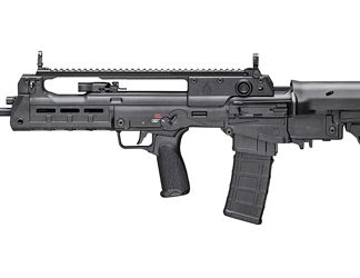 Springfield Hellion