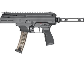 Springfield Kuna