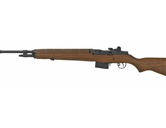 Springfield M1A