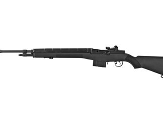 Springfield M1A