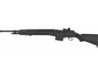 Springfield M1A