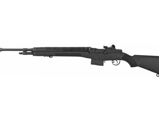Springfield M1A