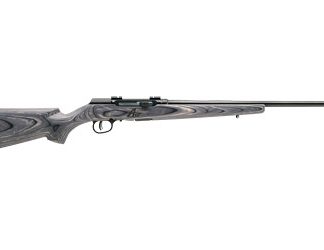 Savage Arms A17