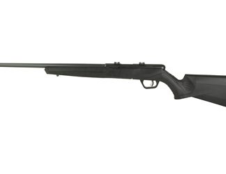 Savage Arms B22