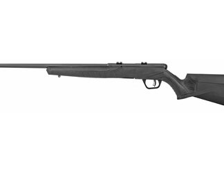 Savage Arms B17
