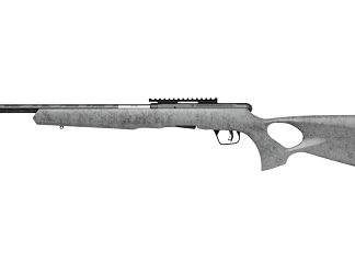 Savage Arms B17