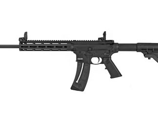 Smith & Wesson M&P15-22