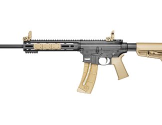 Smith & Wesson M&P15-22