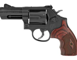 Smith & Wesson 19 Carry Comp