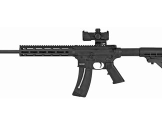 Smith & Wesson M&P15-22